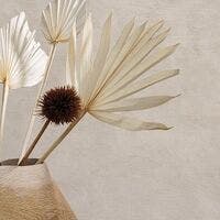 ARGILE MARRON GLACE LA CHAUX