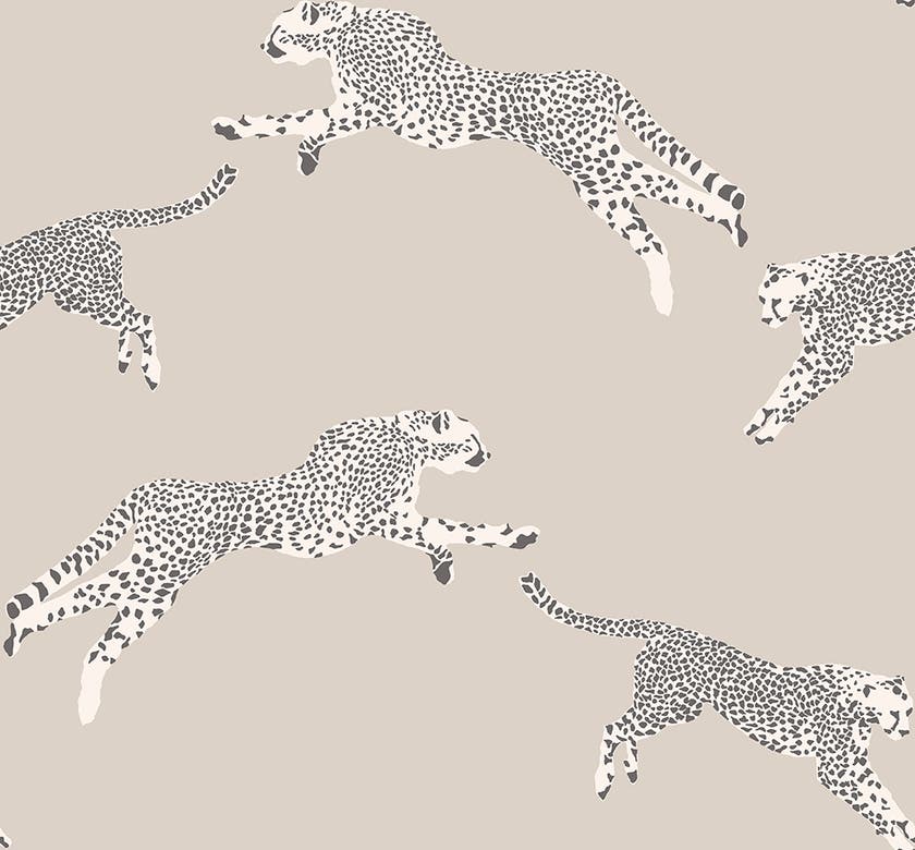 Jannelli & Volpi - Leaping Cheetah