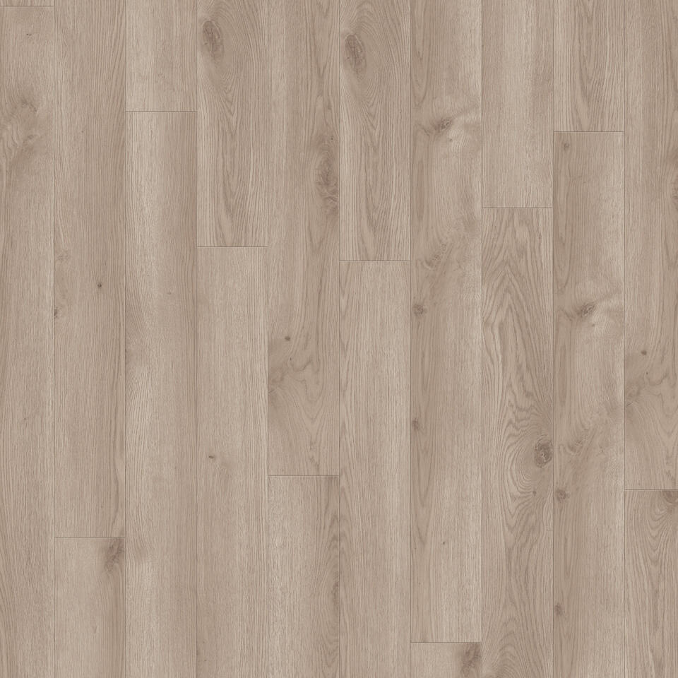Contemporary Oak Grege