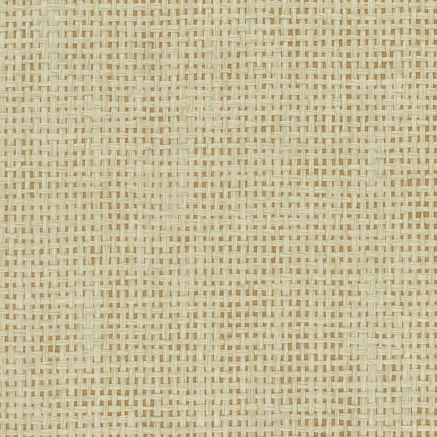 Osborne & Little - Papyrus Straw