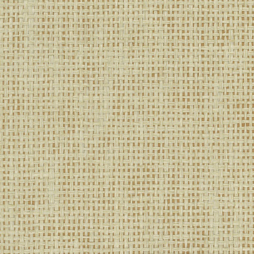 Osborne & Little - Papyrus Straw