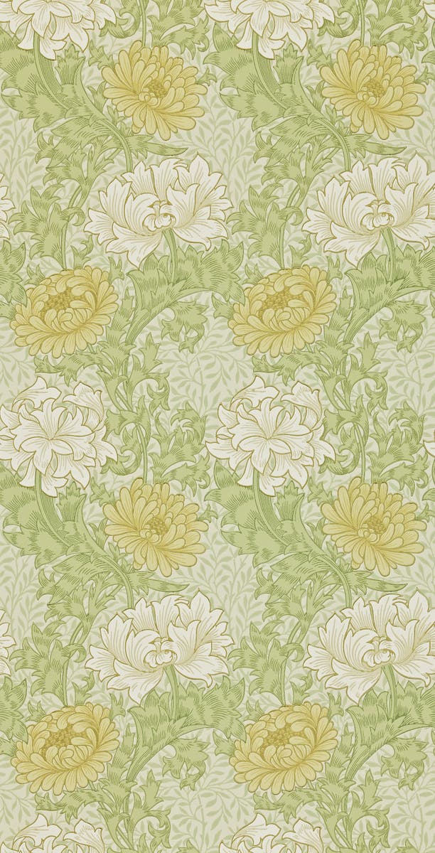 Morris & Co - Chrysanthemum Pale Olive Archive II Wallpapers