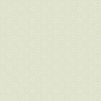 Gunnebo Slott - Ljusgrön/Silver x108-56