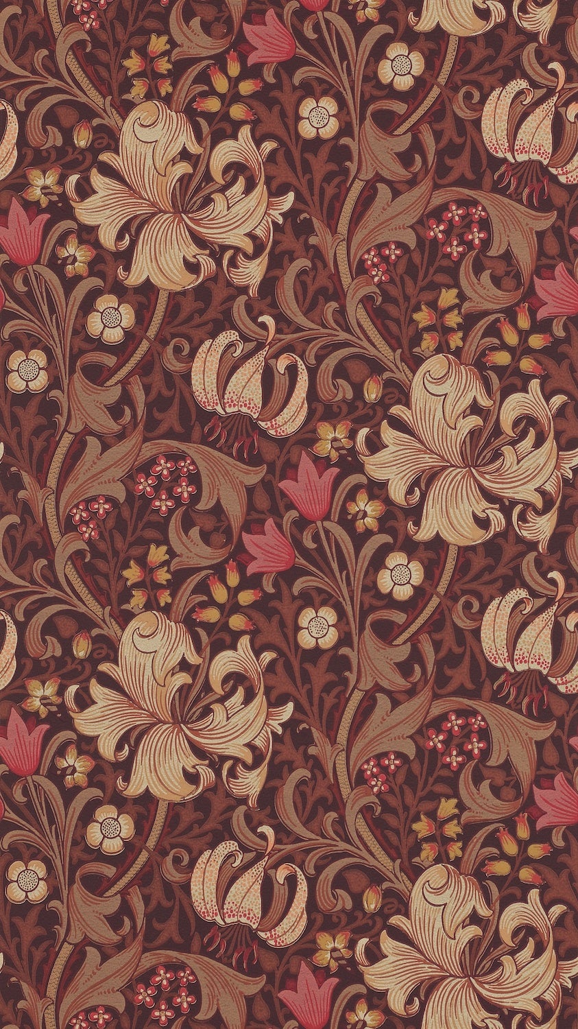 Morris & Co - Golden Lily Fig/Burnt Ora Morris and Friends Wallpa