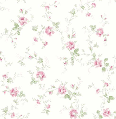 Carma - Alice & Rose