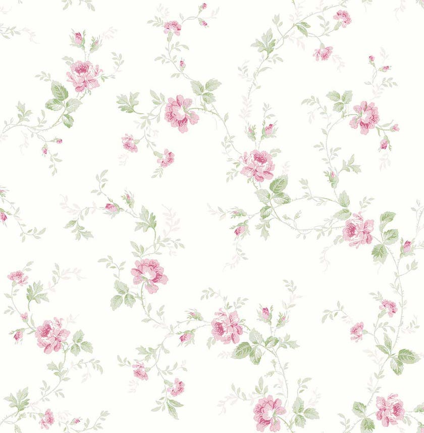 Carma - Alice & Rose