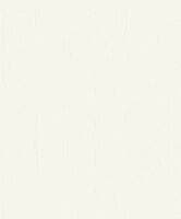 ETAMINE BLANC POLAIRE ETAMINE