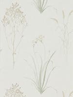Farne Grasses Willow/Pebb Embleton Bay Wallpapers