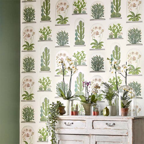Sanderson - Terrariums Chalk/Green Glasshouse Wallpapers
