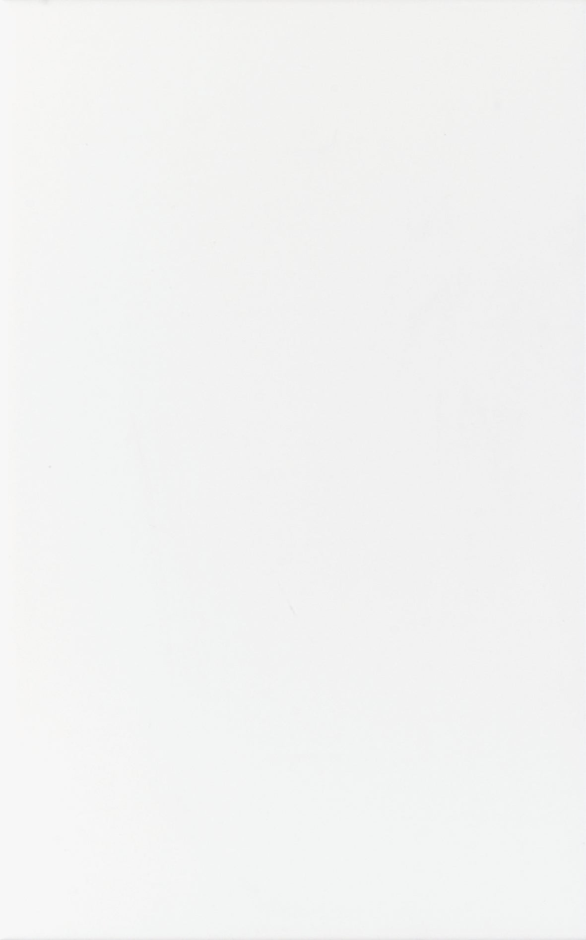 Fokus projekt Vit matt 25x40