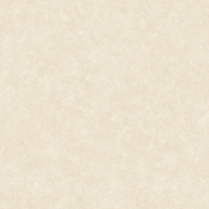 Caselio - Uni Mat Coquille Doeuf Ceramique