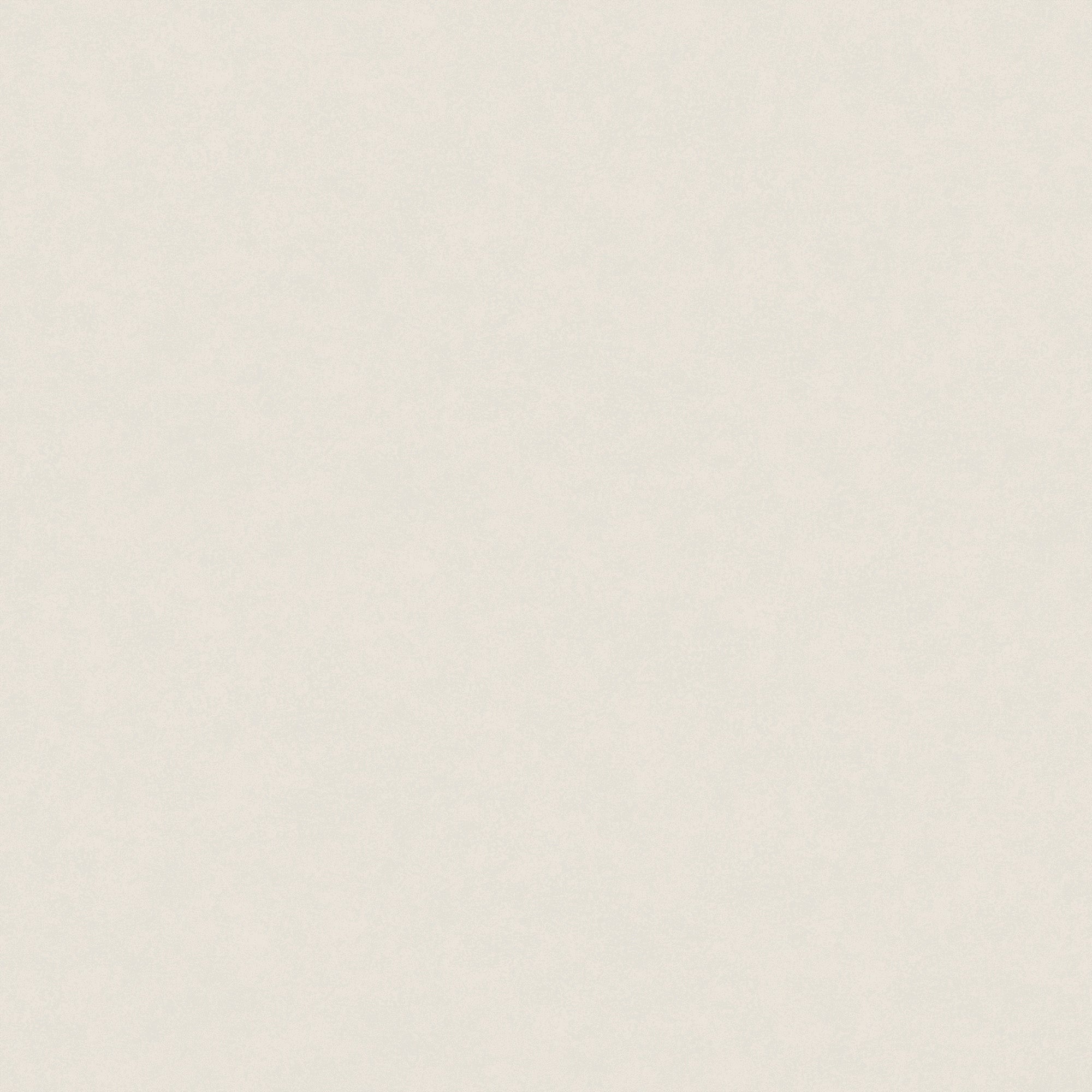 Fiona - Concrete Gloss