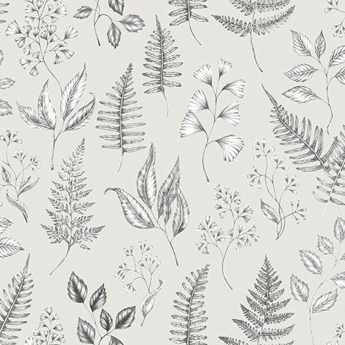 Betula - Midbec Skogsgläntan