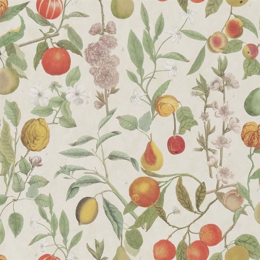 Orchard Fruits Picture Book Wallpapers I