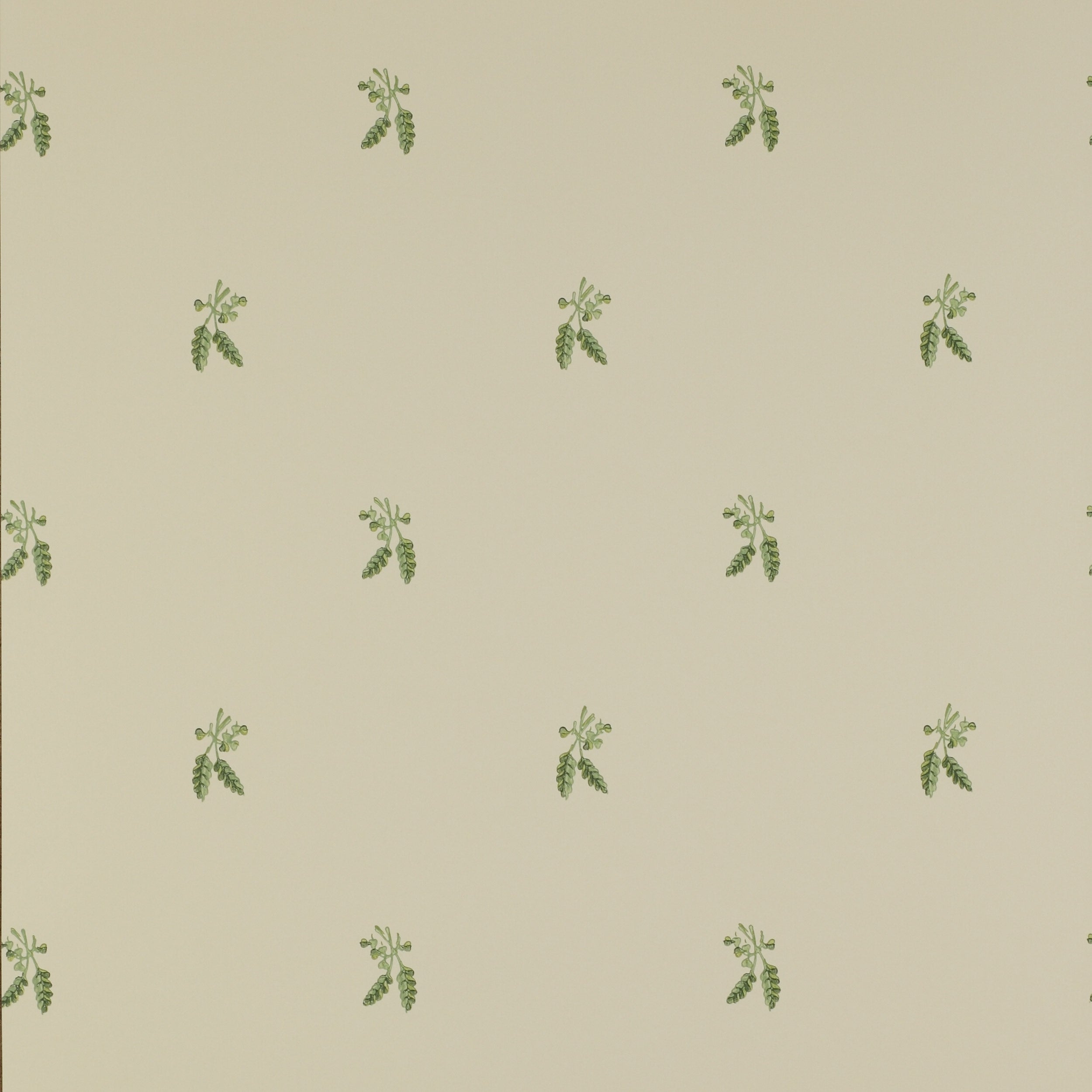 Colefax and Fowler - Fernwood Leaf Green