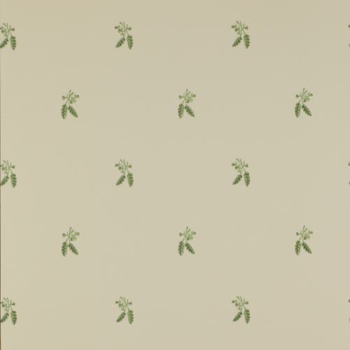 Colefax and Fowler - Fernwood Leaf Green