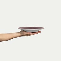 Basic Tallrik Plommon 21cm