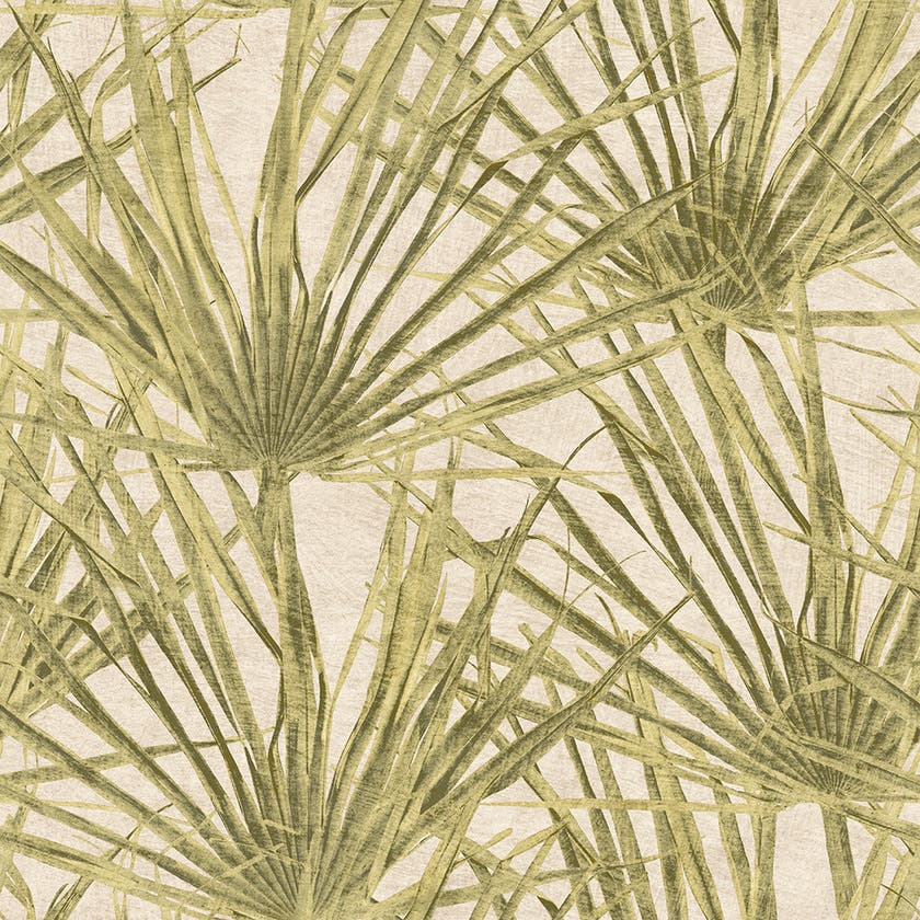 Herbarium Palm