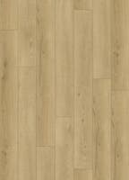 Softstep SYNQ Grand Cru