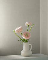 Dun - Midbec Midolin/Sommaräng