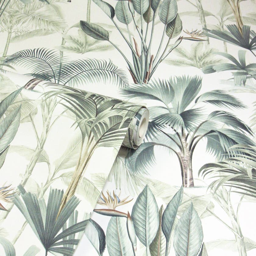 King Palm Green