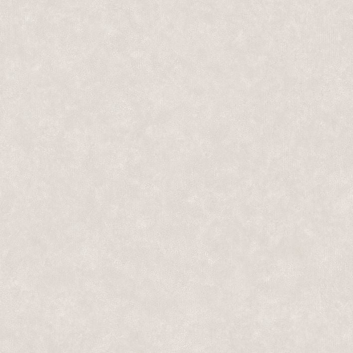 Caselio - Uni Mat Taupe Poudre Ceramique