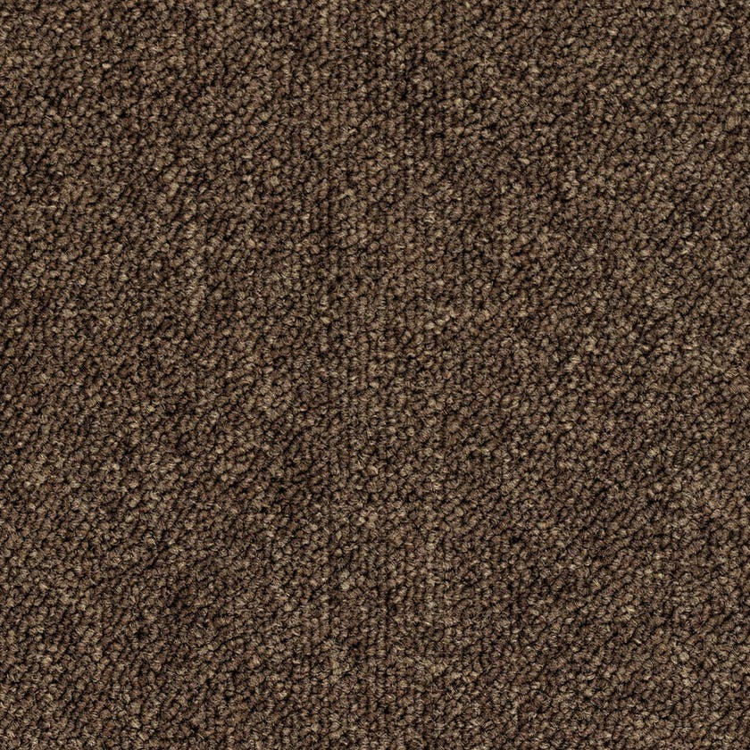 DESSO Essence Broadloom A879 2051