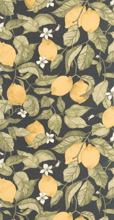 LEMON TREE JAUNE CITRON / SOLIFLORE
