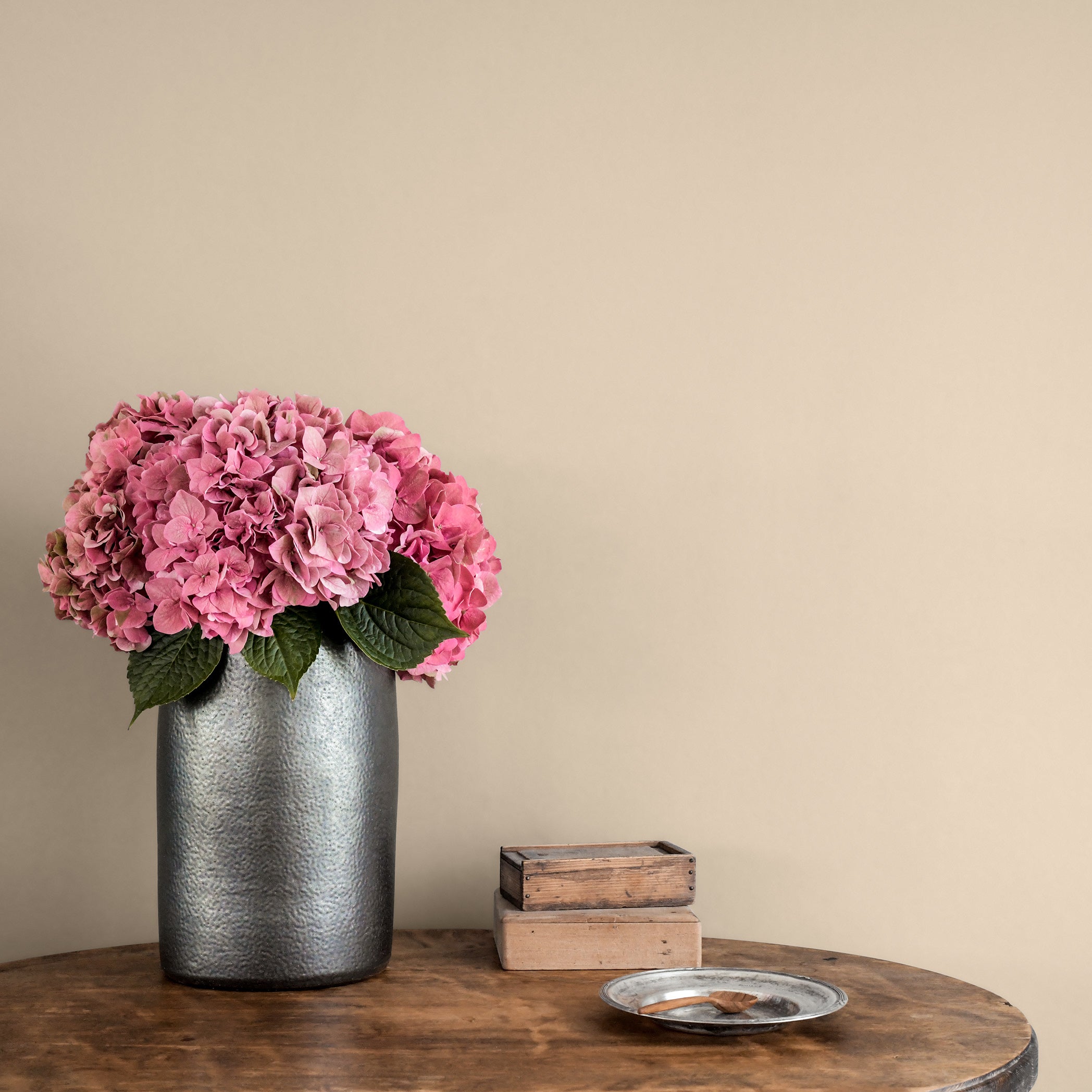 Morning Blush 901-48