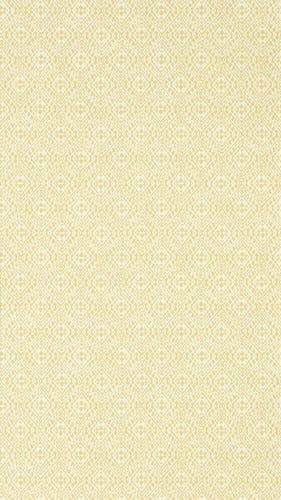 Sanderson - Pinjara Trellis Woad Littlemore Wallpapers