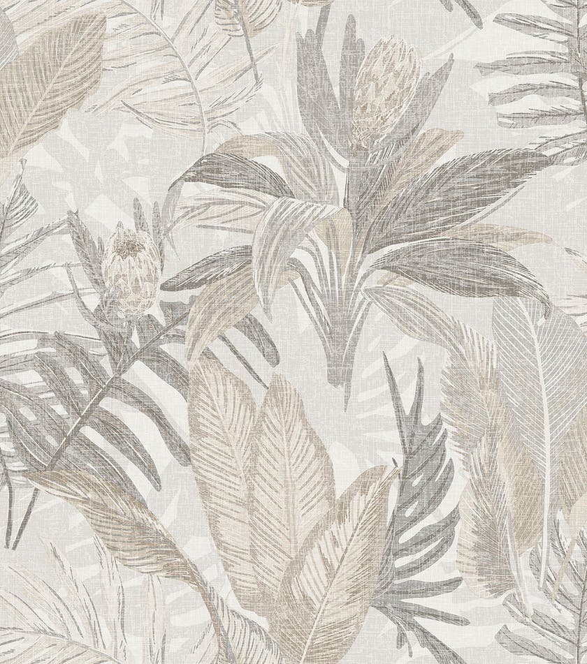 Caribbean II Wild Protea