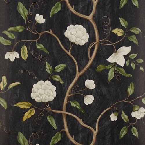 Colefax and Fowler - Snow Tree Black