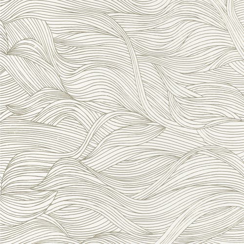 Casamance - Alula Neige Select 6