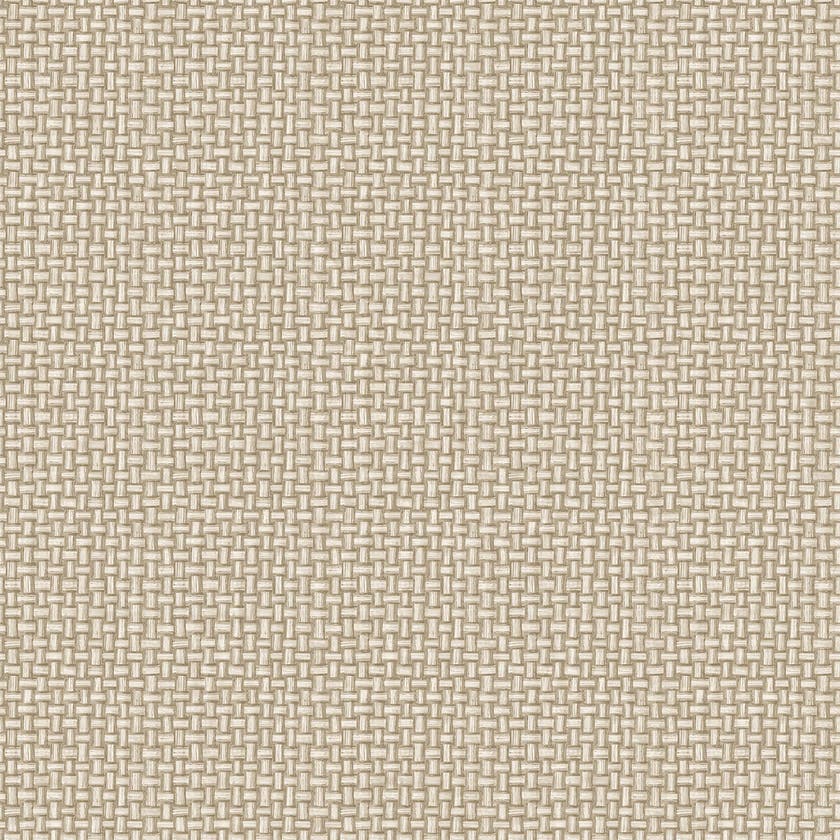 Intrade - The Lost Gardens