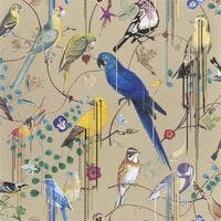 Birds Sinfonia Histoires Naturelles