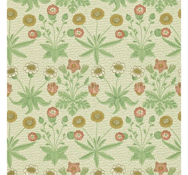 Daisy Artichoke/Plaster Morris 160th Anniversary (Outlet)