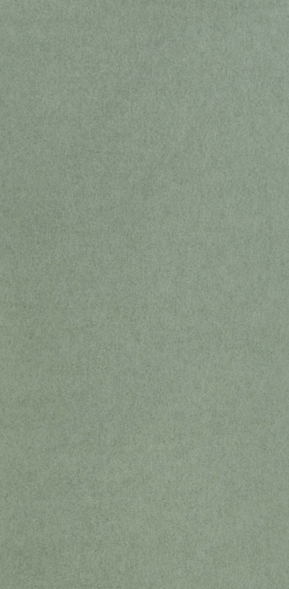 Osborne & Little - Chroma Chroma Sage (Fo)