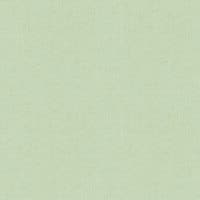 Linne, Ljus Björk Enfärgad & Randig