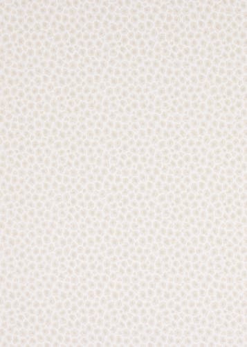 Jane Churchill - Cleo Ivory