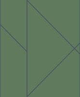 PURE VERT CANOPEE ALCHIMIE CAD