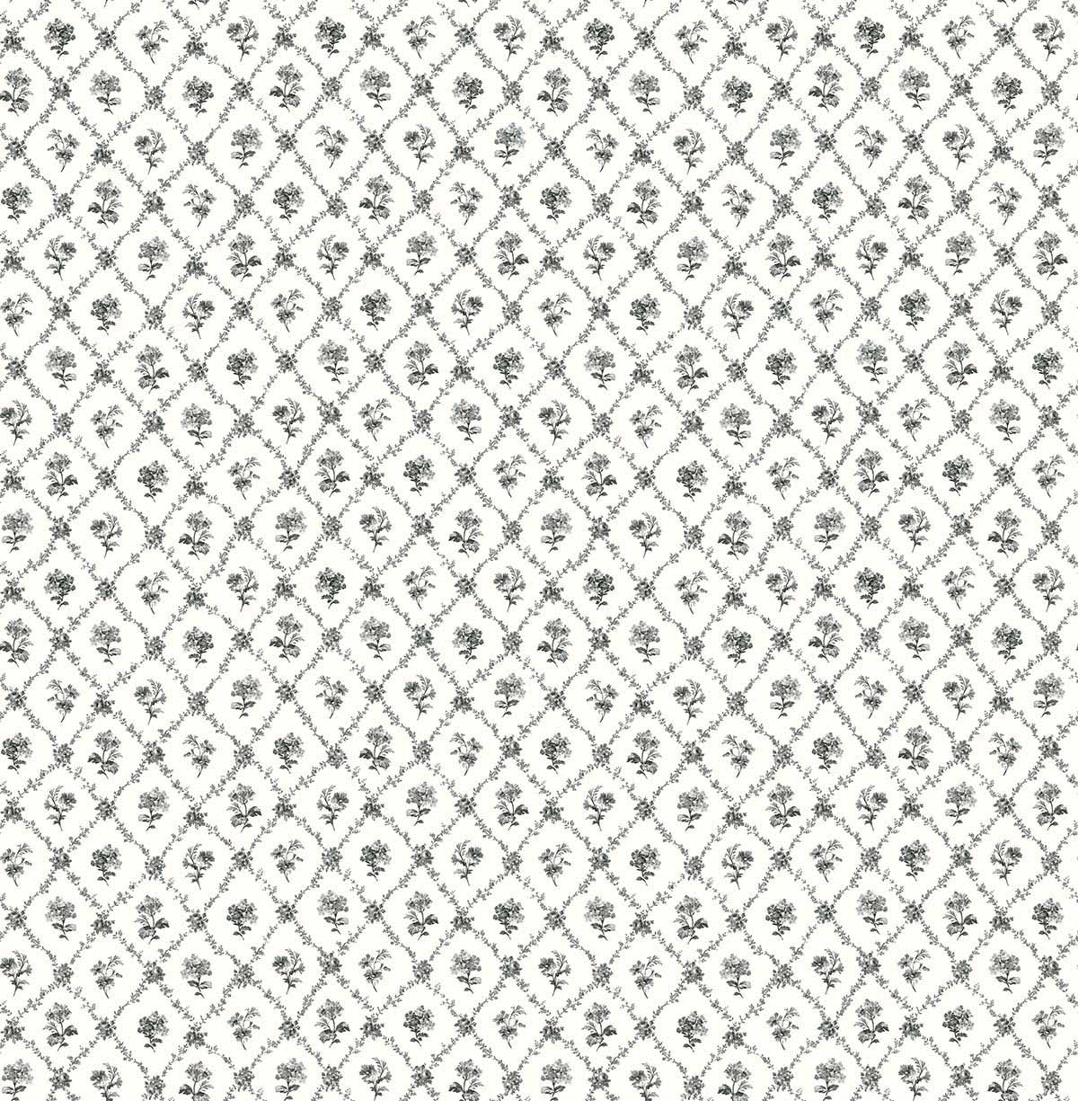 Carma - Alice & Rose