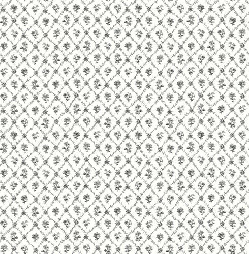 Carma - Alice & Rose