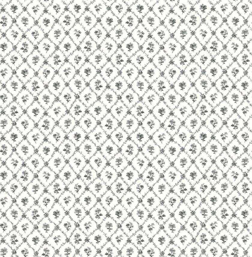 Carma - Alice & Rose