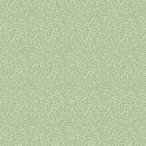 Carma - Blooming Garden