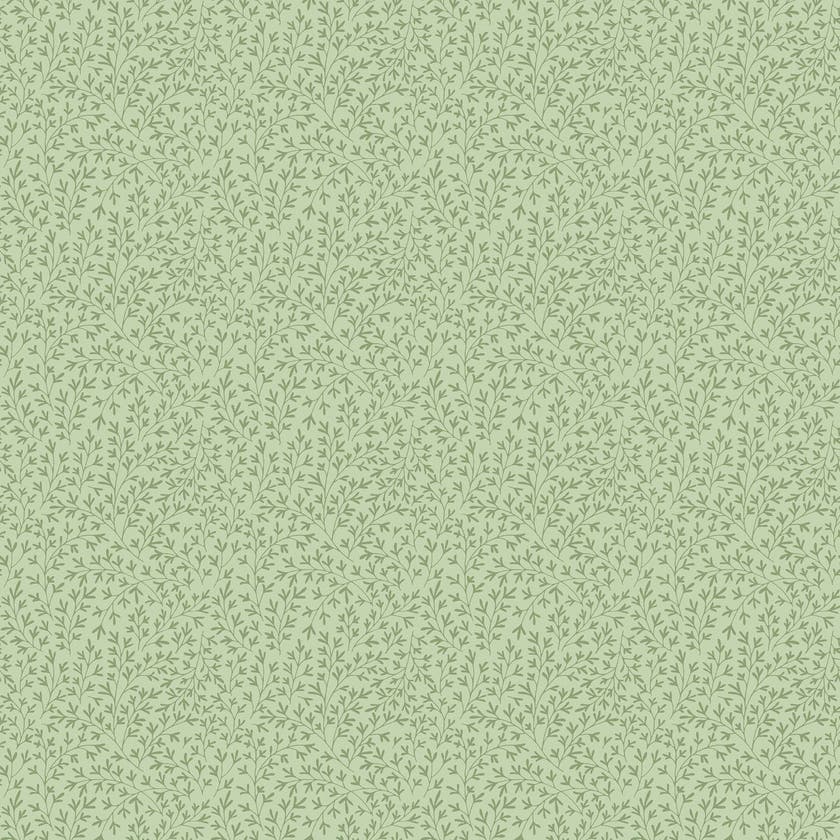 Carma - Blooming Garden