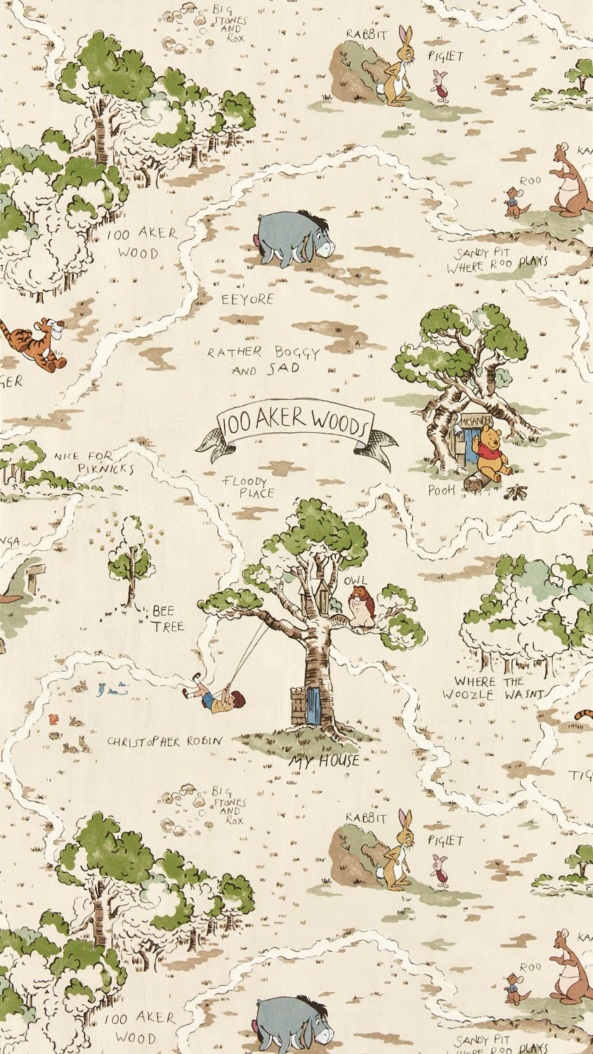 Sanderson - Hundred Acre Wood Cashew Disney Home X Sanderson W