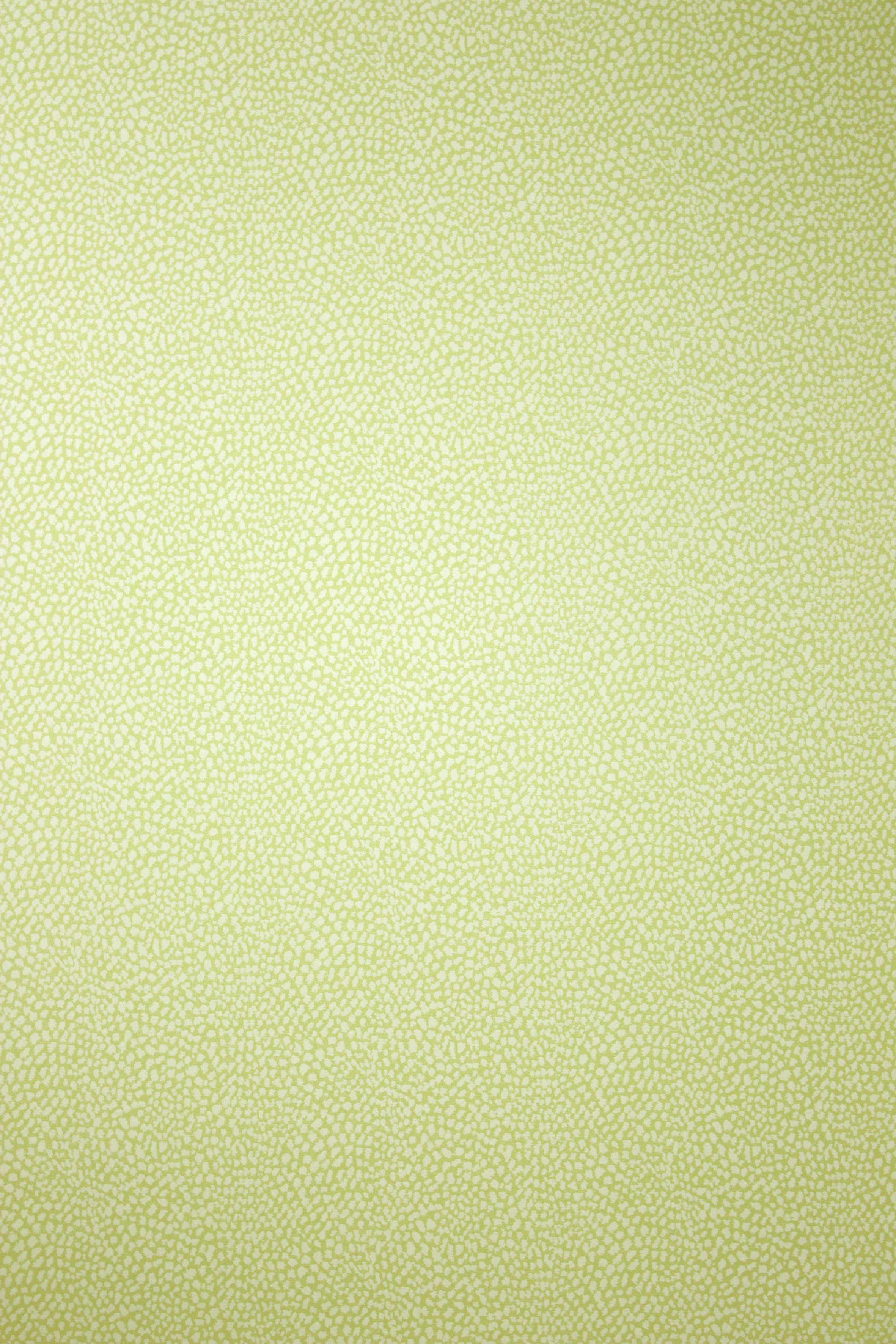 Osborne & Little - Oriole Pale Lime 