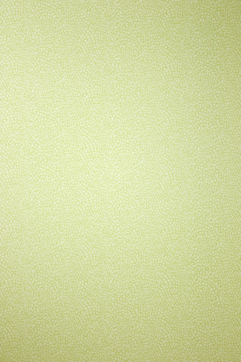 Osborne & Little - Oriole Pale Lime