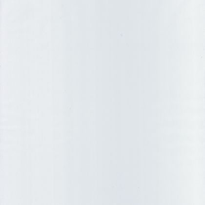 Caselio - Uni Blanc Basics