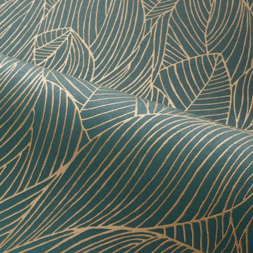 Casamance - Hosta Jaspe/Doré Jardin Félicia